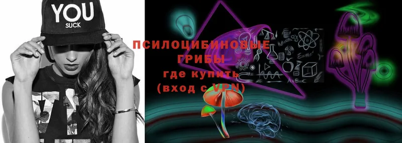 Галлюциногенные грибы Psilocybine cubensis  Лермонтов 